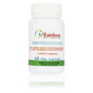  Supplement